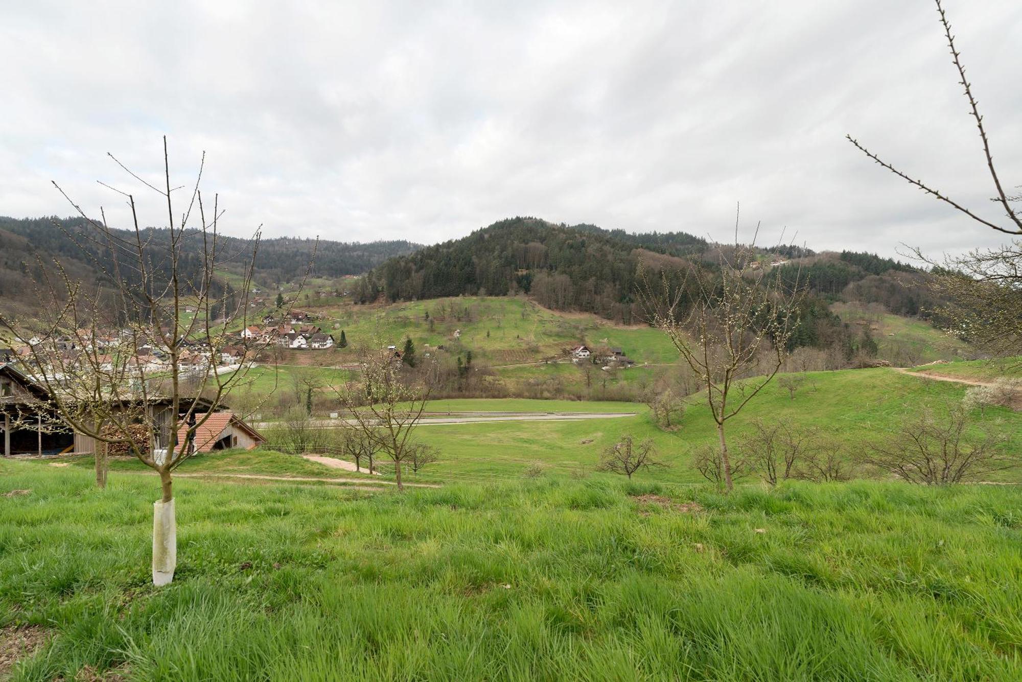 דירות Ottenhofen im Schwarzwald Haus Am Schroffen מראה חיצוני תמונה