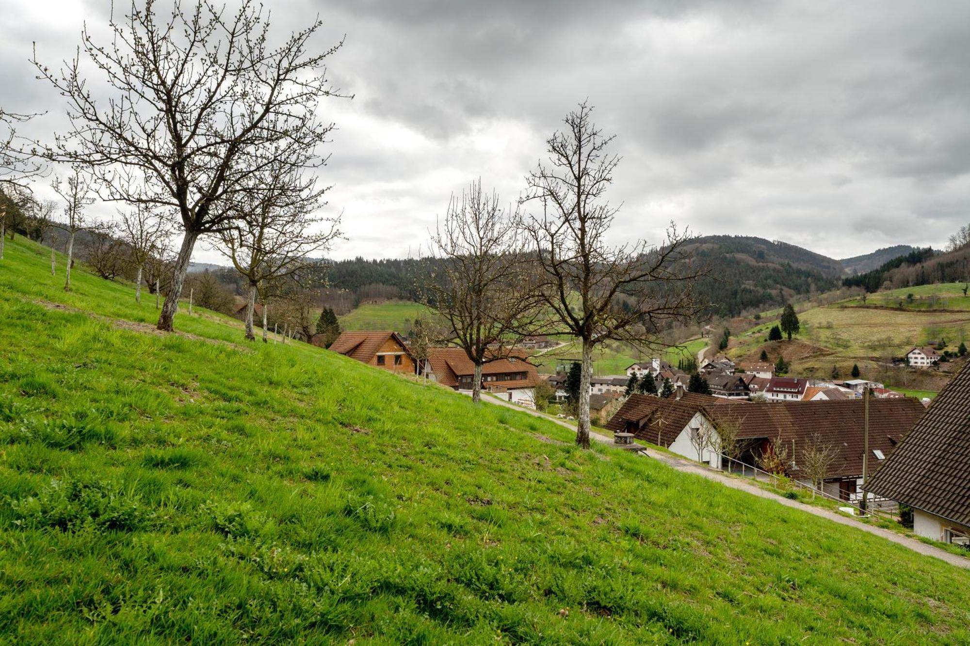 דירות Ottenhofen im Schwarzwald Haus Am Schroffen מראה חיצוני תמונה